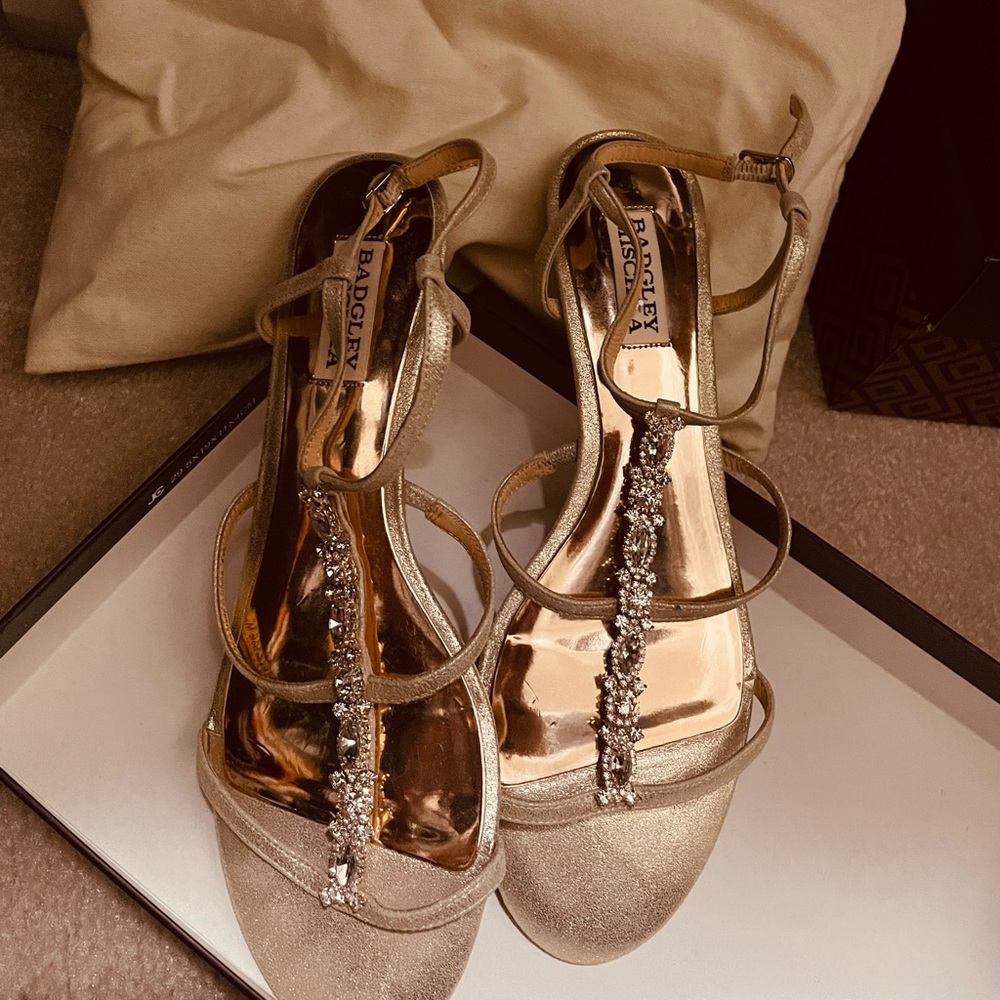 Never worn - low low wedge Badgley Mischka sandal.